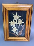 True Natural Mountain Flowers Herbarium Framed Signed