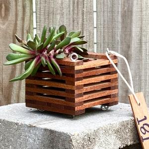 181. Salvaged Sapele Wood Hanging Basket Planter for Orchids, Bromeliads, Ferns, Cacti, Other Epiphytes and Succulents