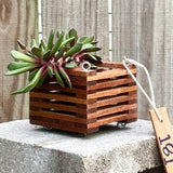 181. Salvaged Sapele Wood Hanging Basket Planter for Orchids, Bromeliads, Ferns, Cacti, Other Epiphytes and Succulents