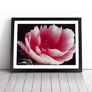 Admirable Carnation Flower Framed Wall Art Poster Print Home Decor Picture Large