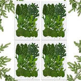 84 Pieces Real Dried Pressed Leaves Assorted Natural Dry Leaves Green Dry