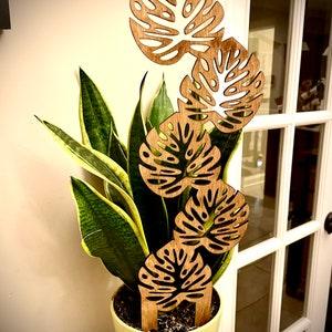 Giant 18?¡À Indoor boho plant trellis-5 leaf monstera leaves available in 12 finishes