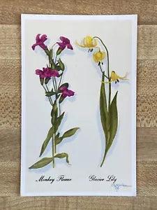 Crandall Studios Grand Teton National Park Postcard - Monkey Flower/Glacier Lily