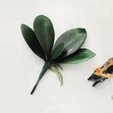 Realistic 5 Leaves Orchid Leaf with Roots | High Quality Artificial Plant | DIY Floral | Wedding/Home Decoration | Gifts - Dark Green