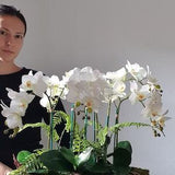 White Orchid Phalaenopsis Plants In white bowl.faux artificial orchid arrangement leaf vase.
