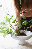 9 Flower Arranging Tips from a Floral Designer Pro Flower Delivery