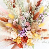 Colorful Dream Dried Flowers Bouquet / Peach+Rust+Blush+Sage Rose Pampas Grass bouquet