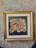 NEW LISTINGOrganic Handmade Dried Flowers Framed: Map Of Freedom