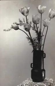 Red Yellow Roses Tulips Snowdrops flowers vase old b&w colour 1970's postcards