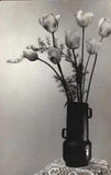 Red Yellow Roses Tulips Snowdrops flowers vase old b&w colour 1970's postcards