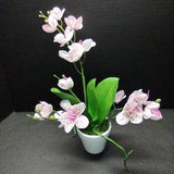 Artificial Phalaenopsis Orchid Plant, Silk Flowers