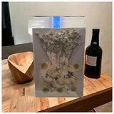 Dried Flowers for Resin Natural Dried Pressed Flowers for DIY WHITE