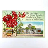 Postcard Ohio Columbus OH State Capital Scarlet Carnation Flower 1920s Unposted