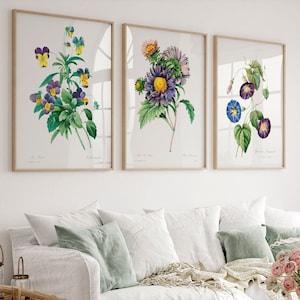 Antique plant illustration Botanical wall art Vintage flower prints Set of 3 Fine Art Farmhouse decor Kitchen art Purple green yellow floral