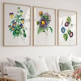 Antique plant illustration Botanical wall art Vintage flower prints Set of 3 Fine Art Farmhouse decor Kitchen art Purple green yellow floral