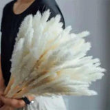 60Pcs Pampas Grass 17.72Inch, Dried Pompous Grass Branches Flower Arrangement