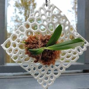 Orchid Mount Orchid Pot Orchid Structure