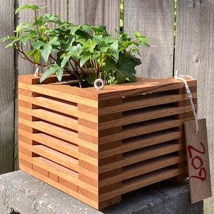 209. Salvaged Spanish Cedar Wood Hanging Basket Planter for Orchids, Bromeliads, Ferns, Cacti, Other Epiphytes and Succulents