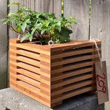 209. Salvaged Spanish Cedar Wood Hanging Basket Planter for Orchids, Bromeliads, Ferns, Cacti, Other Epiphytes and Succulents