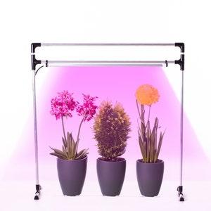 LED lamp for plants DUO Bicolor on the windowsill. LED Phyto lamp for indoor plants, seedlings, flowers, orchids, microgreens.