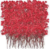 Coume 50 Pcs Dried Baby Breath Flowers Red Gypsophila Pressed 1.97-3.15 Inch Nat