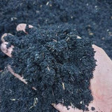 Organic Burned Rice Husks Burned Rice Hulls Ash 100% organic compost fertilizer & hydroponic substrate orchid/anthurium - New