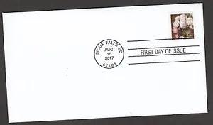 US 5234 Garden Flowers Peonies (from coil) CDS FDC 2017