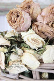 Decorating with dried flowers Flower Delivery