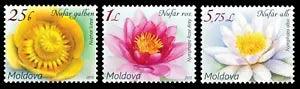 Moldova stamps! Flora, Water Lilies, 2019, 3v