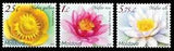 Moldova stamps! Flora, Water Lilies, 2019, 3v