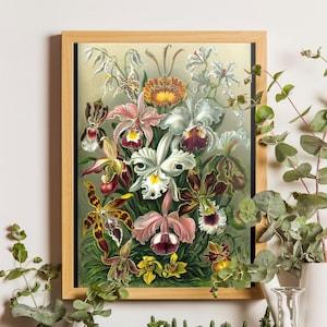 Orchid PRINT Ernst Haeckel Orchid print Botanical Art Antique Colored Tropical Orchids Colorful Picture to Frame Orchids Illustration