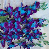 Purple and turquoise Galaxy orchid stems, 4-100 stems, Singapore orchids, island orchid, silk flowers, fabric