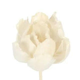 3X Artificial Flower Peony Reed Diffuser Stick Aromatherapy Fragrance Decor DIY