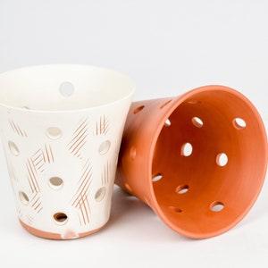 Scout Pot 5.75x5.75" For Orchids | Painted Unglazed Terracotta Ceramic Classy Pottery Decoration Epiphytes Live Plant Potting Supplies