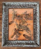 New Handmade 3D Framed Art/ Wild Flowers & Feathers/11 X 9/ Blue & Orange