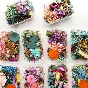 Real Dried Flowers Plants Pressed For Resin Jewellery Making Craft DIY AcceSEf u