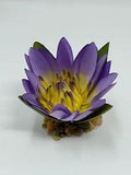 3" Small LILAC Blue-Purple Soft Silk WATER LILY Flower w/ Stone Base