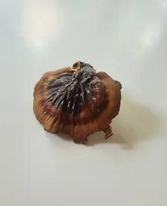 Real Preserved Mushroom Decor / Dried / Fairy Cottage Decor / Floral Accessories