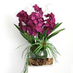 Luxury Vanda orchid arrangement - Real touch orchid centrepiece