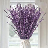 120+Stems Dried Lavender Flowers Bundle-Dried Preserved Lavender Bouquet 15-1...