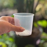 Clear Translucent Plant Pots PACK OF 5 (With Drainage) - For Monstera, Philodendron, Anthurium and Orchids,