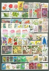 Flora A90 Selection of 71v used Plants Flowers Gerbera Dalia Carnation Roses