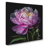 Peony Flower Floral Art Canvas Print Wall Art Framed Picture Home Decor Large