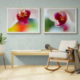Photo Print | Orchid White Pink Flower Abstract Colorful Vivid Floral | Fine Art Photography