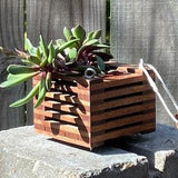 216. Salvaged Sapele and Black Walnut Wood Hanging Basket Planter for Orchids, Bromeliads, Ferns, Cacti, Other Epiphytes and Succulents