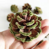5PCS 5-6cm Natural Pinecone Hairy Pine Cone Dried Flowers DIY Xmas Ornament Cone