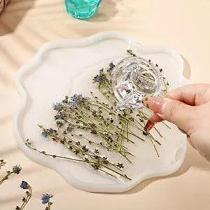 200 Pcs Natural Forget Me Not Pressed Dried Flowers Blue Don't Forget Me Dried