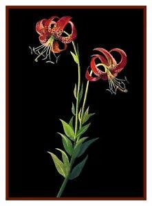 Tiger Lily Flower inspired Mary Delany Counted Cross Stitch Pattern