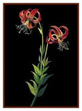 Tiger Lily Flower inspired Mary Delany Counted Cross Stitch Pattern