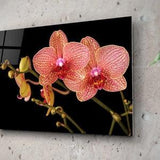 Pink Orchid Painting Glass Wall Art Nature Inspired New Home Gift Floral SPA Salon Decor Botanical Interior Decoration